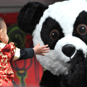 Pei Pei's Pin-da Express